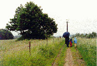 Regenspaziergang in Krten, 2001