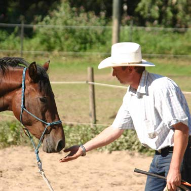 Cowboy-Atmosphre im Bergischen -  Ute Glaser